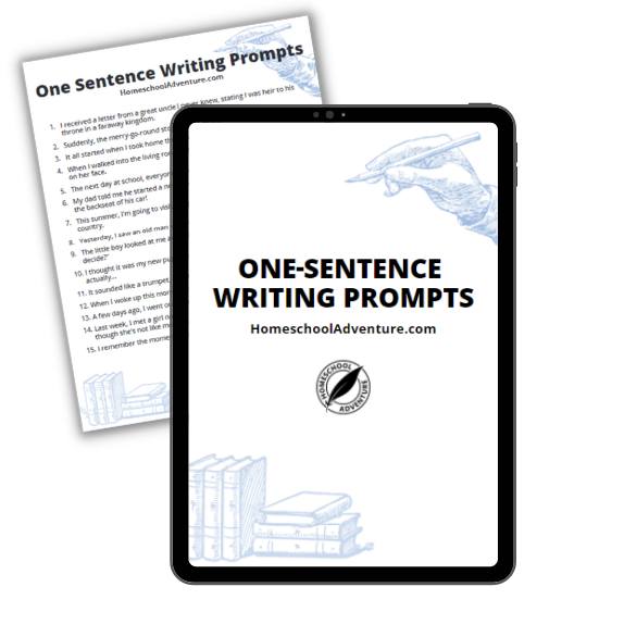 One-sentence writing prompts